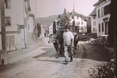 Ausbau der Strasse, Fuhrwerk, der Backmann von Rüetswil
