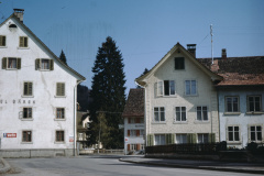 Bärenplatz, Bären, Linde 1966