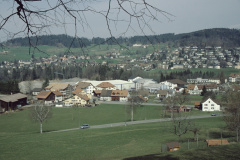 Schürli und Adetswil von der Steinweid aus