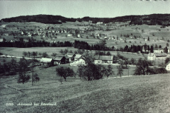 Schürli und Adetswil