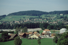 Schürli, Adetswil