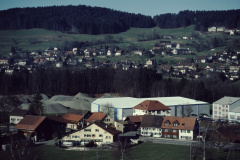 Schürli + Adetswil