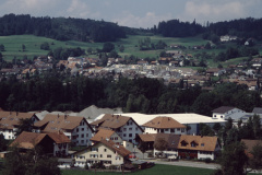 Schürli, Adetswil, In der Stapfeten - vom Hinterberg aus