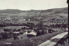 Adetswil + Schürli