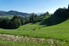 Ghöch, Blick Rtg Brandegg / Glärnisch