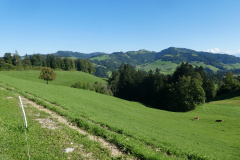 Schnebelhorn - Hüttchopf - Brandegg