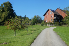 Blick zurück zur Widenreiti