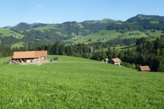Vogelsang