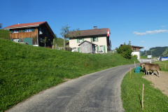 Vorderer Sädel