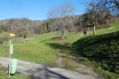 Alte Steigstrasse zur Talstation Skilift Rtg Rüetschwil. Links der Greifenberg