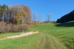 Alte Steigstrasse