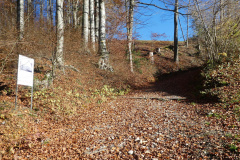 Hohlweg «Steig»