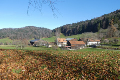 Blick auf Rüetschwil
