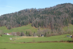 Blick auf Josenhof und Hohenegg