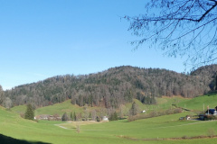 Josenhof, Hohenegg, Rüetschwil