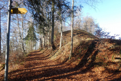 Greifenberg, Burghügel