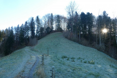 Blick zurück auf Greifenberg