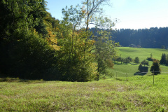 RW-Hasentoerli-2022, Hasentörli, Blick Rtg Platten