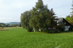 RW Hasentörli, Wohnhaus Schmärschür, Blick gegen Aemet-Rosinli
