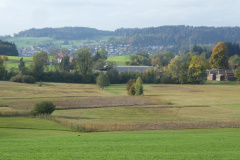 RW Hasentörli, Wappenswilerriet