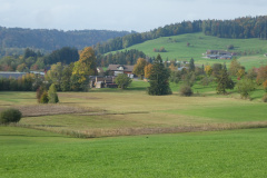 RW Hasentörli, Wappenswilerriet und Sägerei Egli, imHG Vorderbettswil