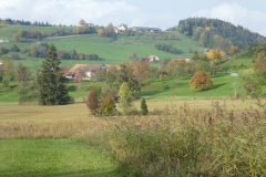 RW Hasentörli, Oberwappenswil, Blick Rtg Maiwinkel und Allenberg RW Hasentörli, Oberwappenswil, Blick Rtg Maiwinkel und Allenberg