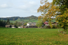RW Hasentörli, Alte und neue Sägerei
