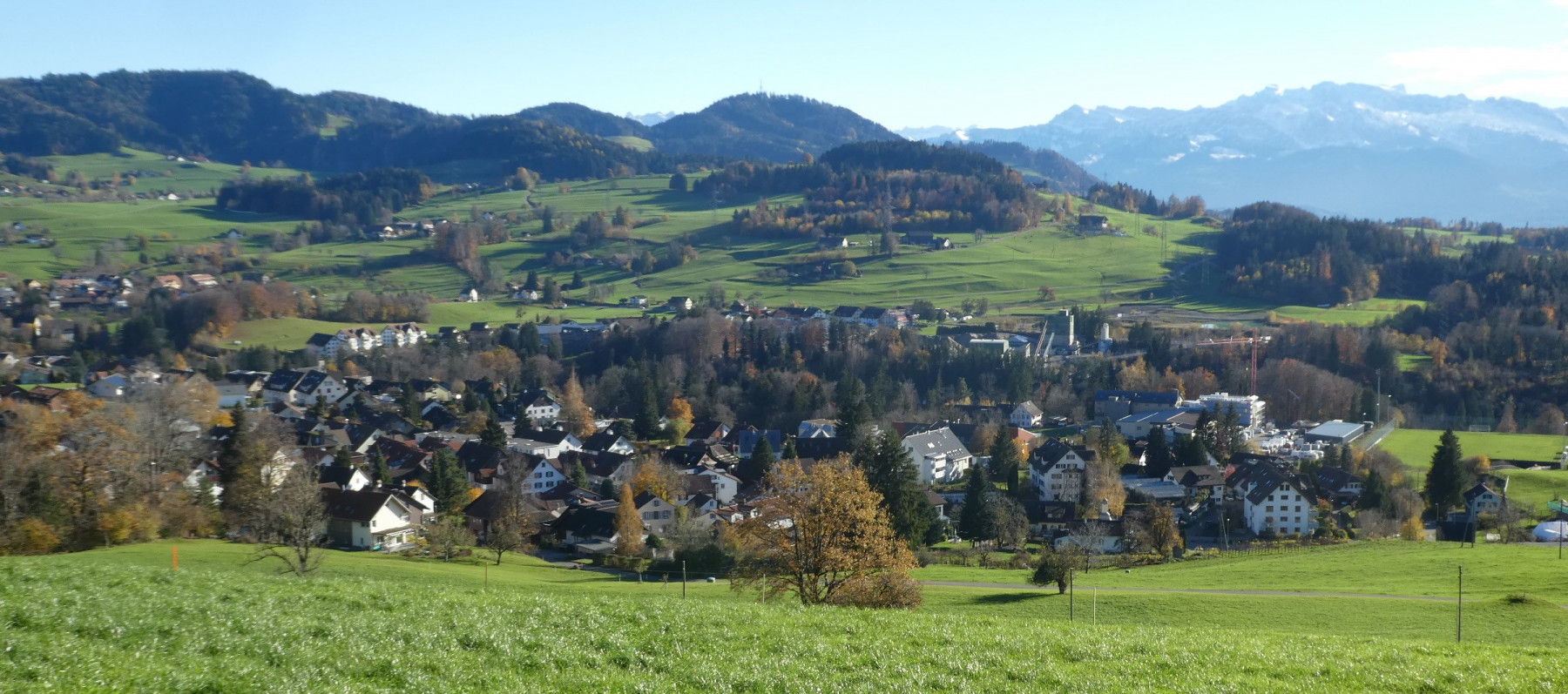 Blick vom Chilenbüel auf Adetswil. Dahinter Aabach-Tobel und Schürli / Kiesgrube