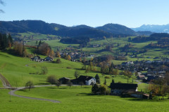 Binz, Weid, Bürgweidli. imHG Allmen, Bachtel, Vrenelis Gärtli