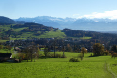 Bürgweidli, Bachtel und Alpen