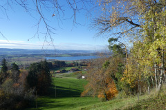 Rosinli, Aussicht auf Pfäffiker- und Greifensee