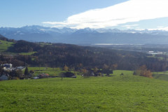Rosinli, Blick auf Bachtel, Zürichsee und Alpen