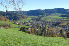 Blick vom Leenacher auf Adetswil / Bäretswil. Dahinter Allmen