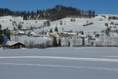 Vorderbettswil und Allenberg