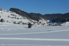 Allenberg und Bettswil