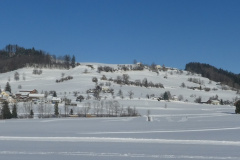 Panorama Bettswil