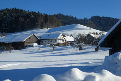Maiwinkel