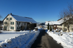 Maiwinkel