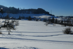 Blick auf Wappenswil