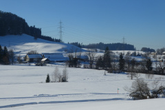 Unterwappenswil (Traube) und Tisenwaltsberg