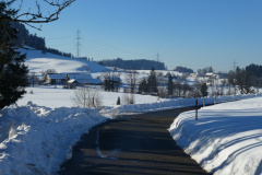 Traube und Tisenwaltsberg