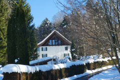 Holenweidli