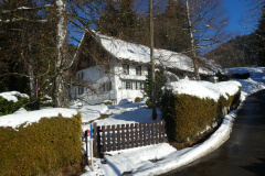 Holenweidli