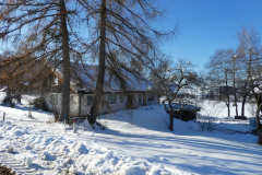 Schmärschür, Jung
