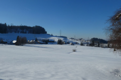 Panorama Wappenswil und Tisenwaltsberg