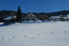 Schwarzweid