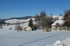 Schmärschür, imHG Bleisch AG, Vorderbettswil