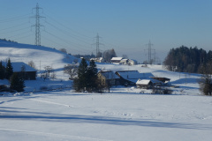 Traube und Tisenwaltsberg