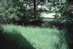 Diaschau 1, Wiese beim Wasserrad vor Einsatz ZS