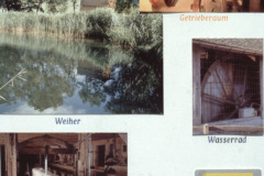 Diaschau 1, Wie geht’s weiter…